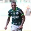 Brasileirão: Palmeiras está muito perto de ser campeão